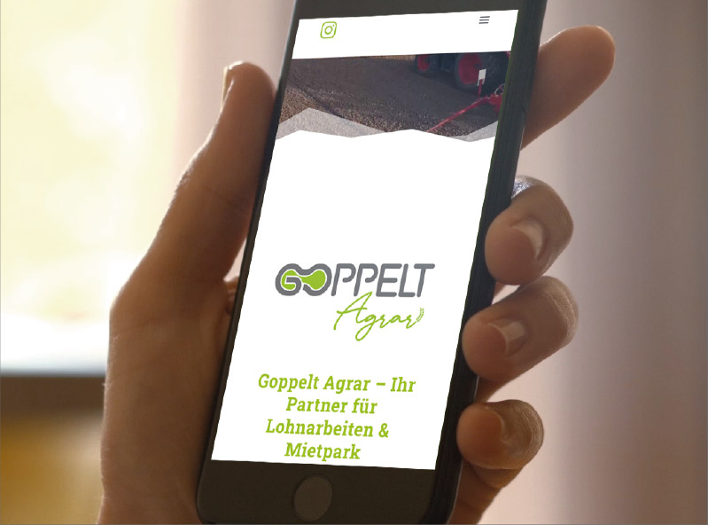 goppelt-383x284 Goppelt